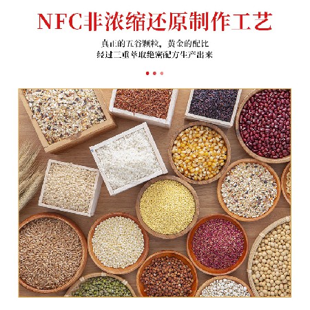 银树华体会体育饮料可代理加盟五谷饮品早餐奶 香浓丝滑16罐礼盒装